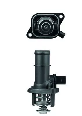 MAHLE Thermostat, coolant (TI16105)