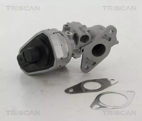 TRISCAN EGR Valve (881310002)
