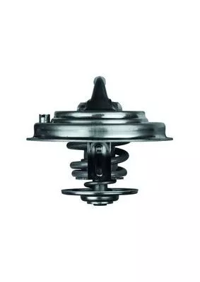 MAHLE Thermostat, coolant (TX3080D)