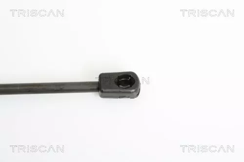 TRISCAN Gas Spring, boot/cargo area (871011225)