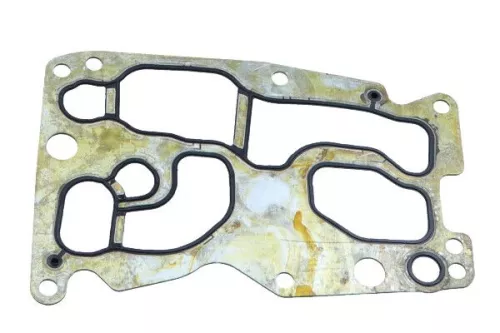 Gasket, oil cooler