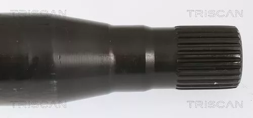 TRISCAN Wheel Bearing Kit (853023236)