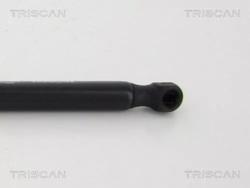TRISCAN Gas Spring, boot/cargo area (8710292032)