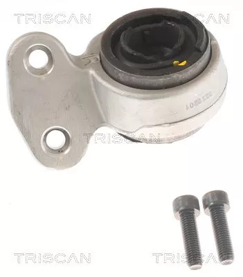 TRISCAN Mounting, control/trailing arm (850011843)