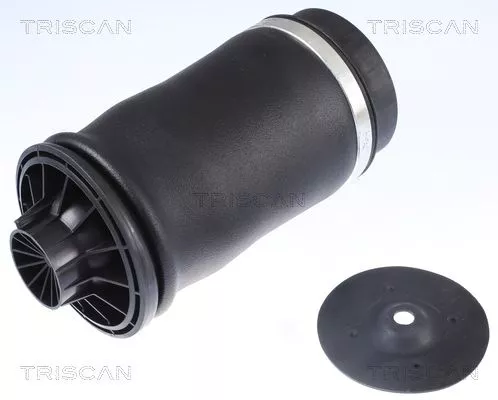 Air Spring, suspension