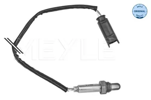 Oxygen Sensor