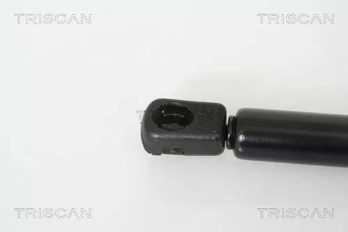 TRISCAN Gas Spring, boot/cargo area (871016239)