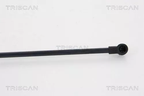 TRISCAN Gas Spring, boot/cargo area (871028237)