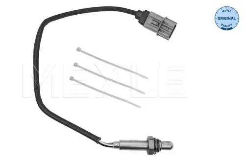 Oxygen Sensor