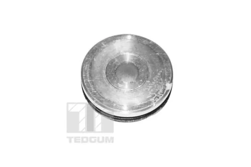 TEDGUM Mounting, control/trailing arm (00059616)