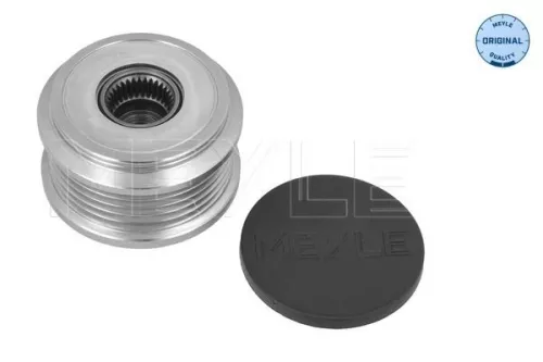 Alternator Freewheel Clutch