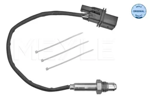 Oxygen Sensor