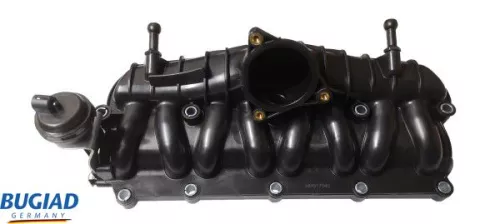 Intake Manifold Module