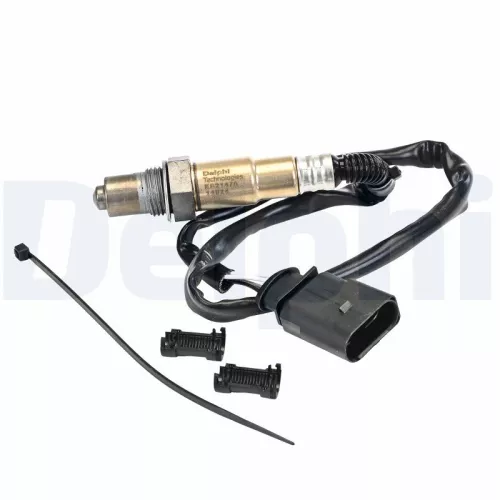 Oxygen Sensor