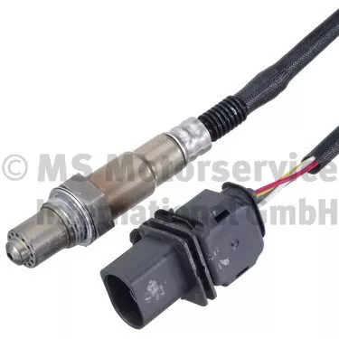Oxygen Sensor