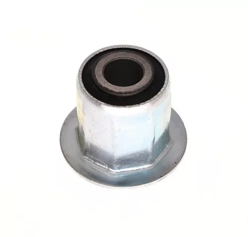 Bushing, leaf spring