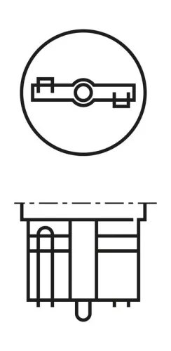 BOSCH Bulb, direction indicator (1 987 302 241)