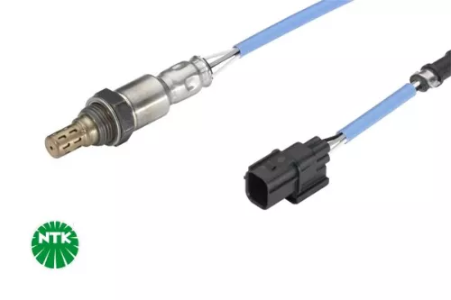 Oxygen Sensor