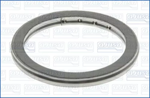 Seal Ring, exhaust pipe