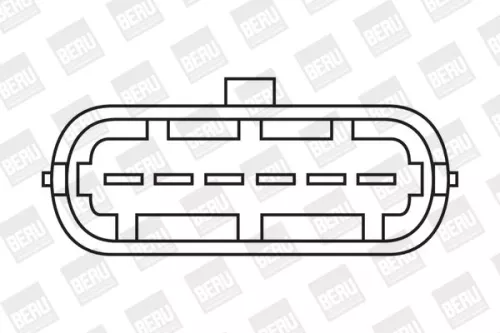 BorgWarner (BERU) Ignition Coil (ZS338)