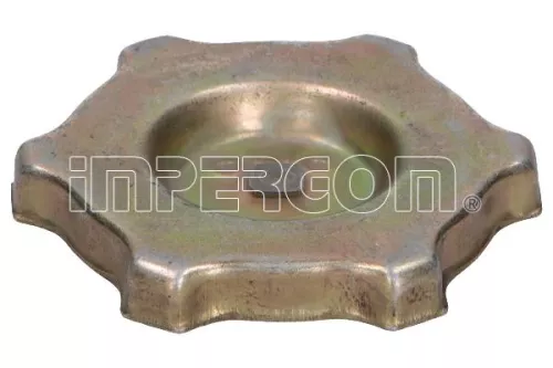 Sealing Cap, oil filler neck