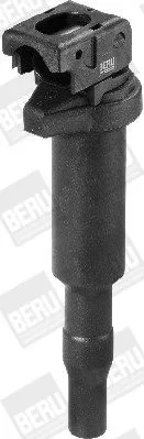 BorgWarner (BERU) Ignition Coil (ZS324)