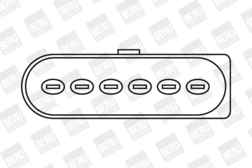 BorgWarner (BERU) Ignition Coil (ZSE029)