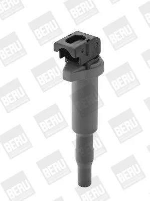 BorgWarner (BERU) Ignition Coil (ZSE145)