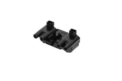 BorgWarner (BERU) Ignition Coil (ZS543)