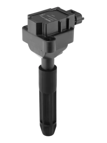 BorgWarner (BERU) Ignition Coil (ZS041)