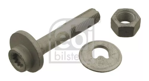 Camber Correction Screw