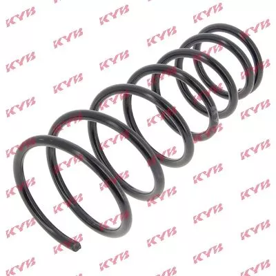 KYB Suspension Spring (RI6166)