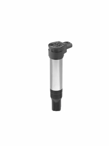BorgWarner (BERU) Ignition Coil (ZS385)