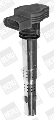 BorgWarner (BERU) Ignition Coil (ZSE032)