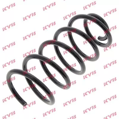 KYB Suspension Spring (RG6538)
