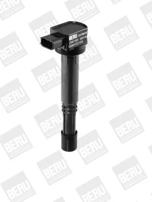 BorgWarner (BERU) Ignition Coil (ZSE169)