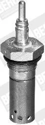 BorgWarner (BERU) Glow Plug, parking heater (GH306)