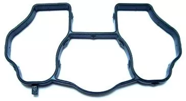 Gasket, intake manifold