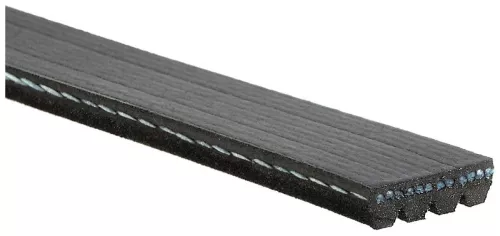 GATES V-ribbed Belt (4PK823)