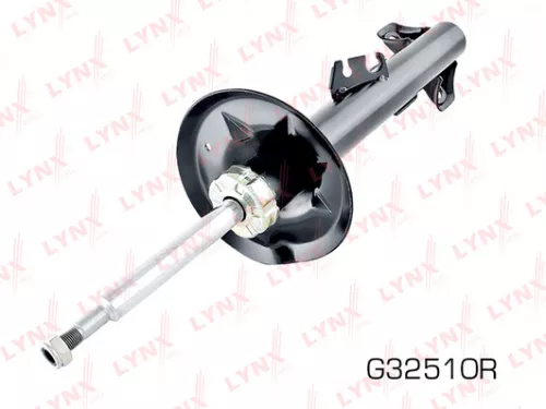 Shock absorber strut gas, right, front