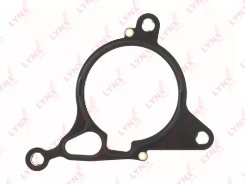 Gasket, Vacuum Pump
